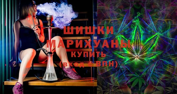 сатива Алзамай