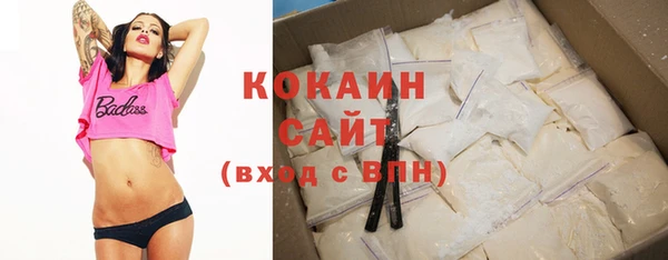 индика Алексин