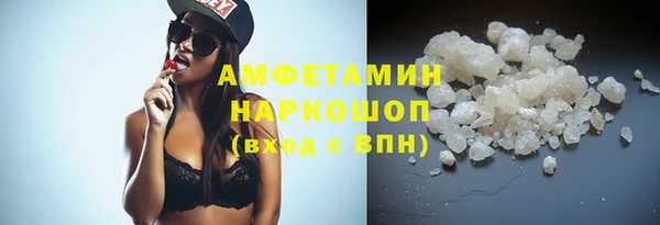 индика Алексин