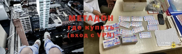 индика Алексин