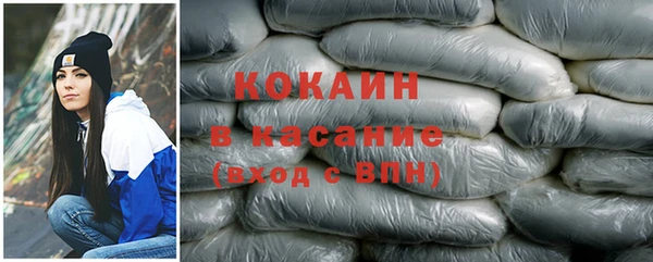 индика Алексин