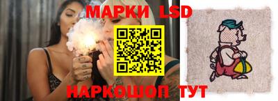 кокс Кингисепп