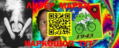 кокс Кингисепп