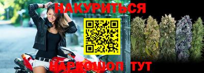 кокс Кингисепп