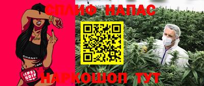 кокс Кингисепп