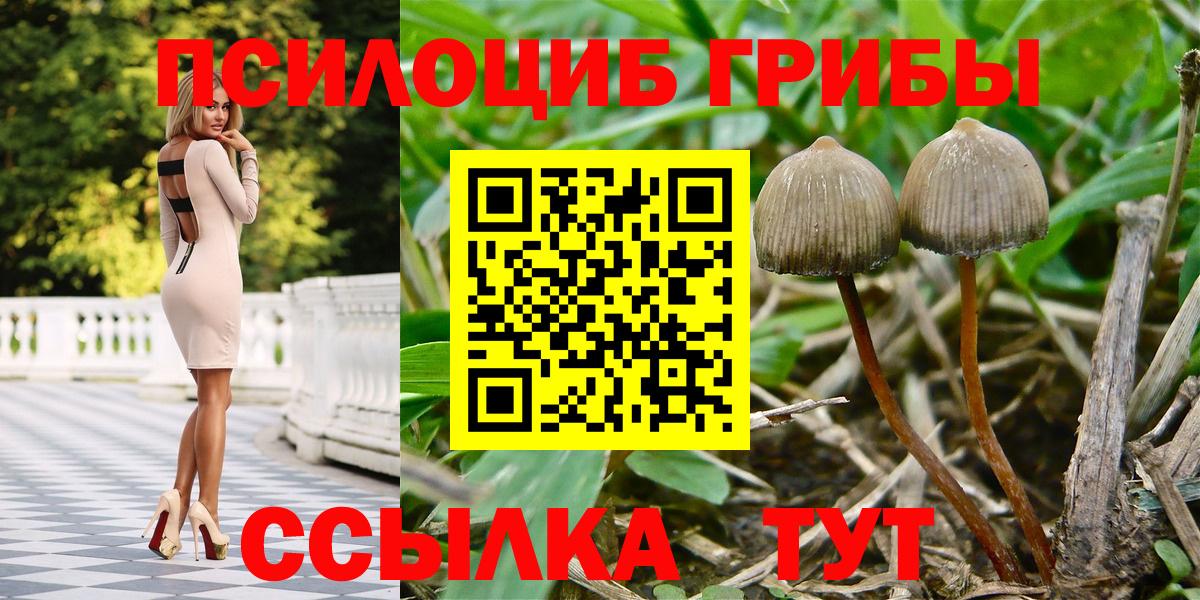 Кропоткин  Галлюциногенные грибы мицелий  Вход с VPN 