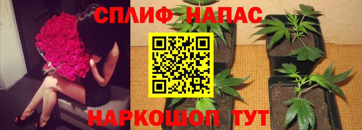 Кропоткин  Бошки марихуана семена  Канабис сатива  Вход с VPN 